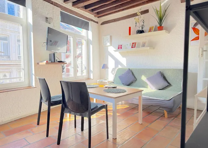 CHARME VIEUX LILLE Apartment 1 chambre 24H24H Access